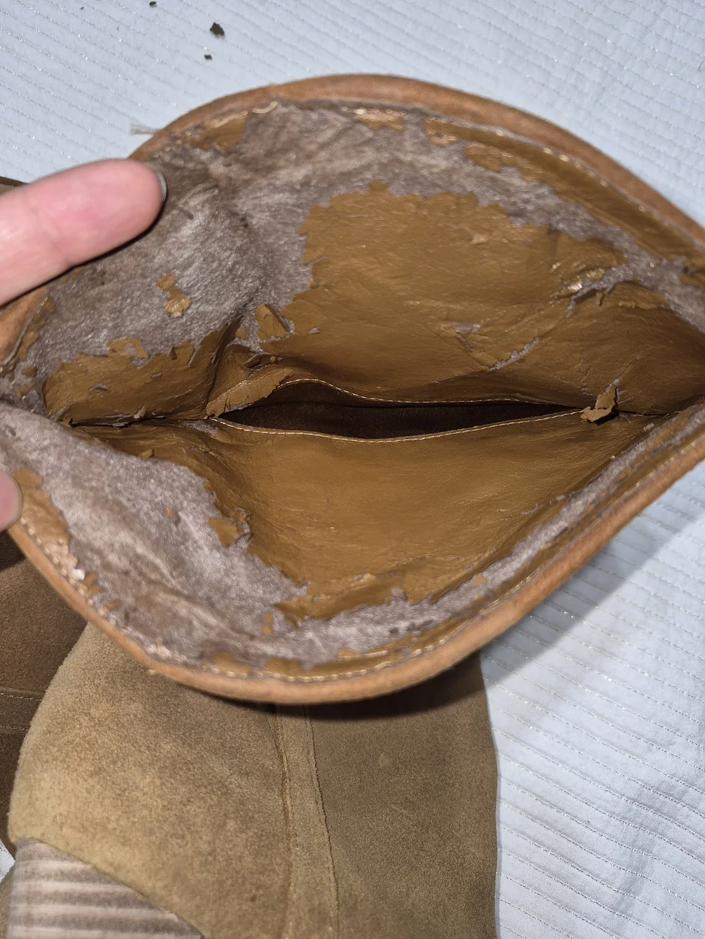 Guess Suede Over-the-Knee Boots in Taupe Brown